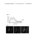 COMPOSITIONS AND METHODS FOR THE TREATMENT AND PREVENTION OF CARDIAC     ISCHEMIC INJURY diagram and image