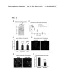 COMPOSITIONS AND METHODS FOR THE TREATMENT AND PREVENTION OF CARDIAC     ISCHEMIC INJURY diagram and image