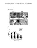 METHODS AND COMPOSITIONS FOR PRESERVING RETINAL GANGLION CELLS diagram and image