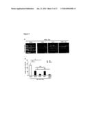 METHODS AND COMPOSITIONS FOR PRESERVING RETINAL GANGLION CELLS diagram and image