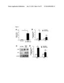 METHODS AND COMPOSITIONS FOR PRESERVING RETINAL GANGLION CELLS diagram and image