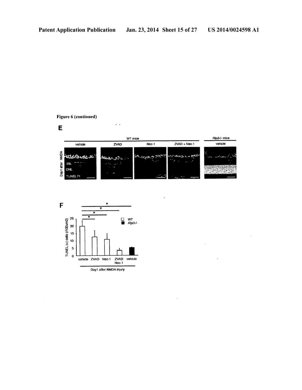 METHODS AND COMPOSITIONS FOR PRESERVING RETINAL GANGLION CELLS - diagram, schematic, and image 16