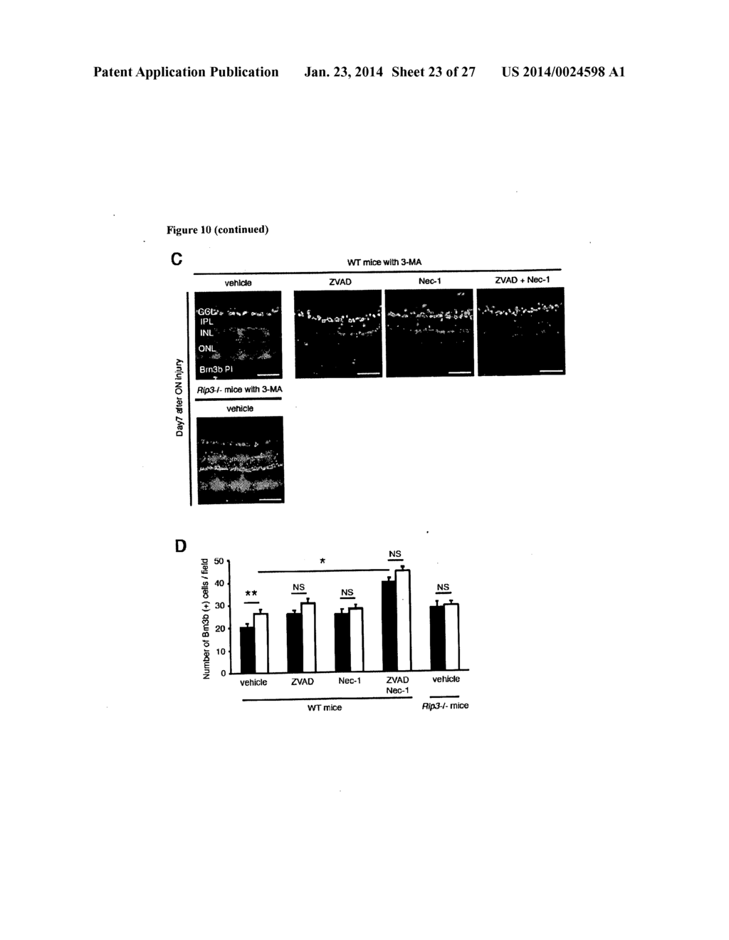 METHODS AND COMPOSITIONS FOR PRESERVING RETINAL GANGLION CELLS - diagram, schematic, and image 24