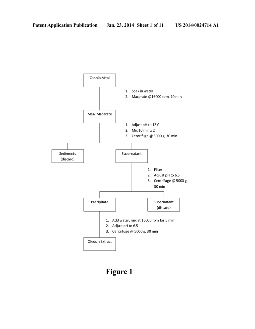 ARTIFICIAL OIL BODIES - diagram, schematic, and image 02