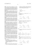 LIQUID CRYSTAL ALIGNMENT AGENT, LIQUID CRYSTAL ALIGNMENT FILM AND LIQUID     CRYSTAL DISPLAY ELEMENT diagram and image