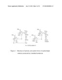 SOPHOROLIPID ANALOG COMPOSITIONS diagram and image