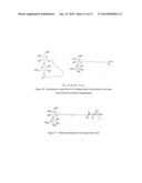 SOPHOROLIPID ANALOG COMPOSITIONS diagram and image