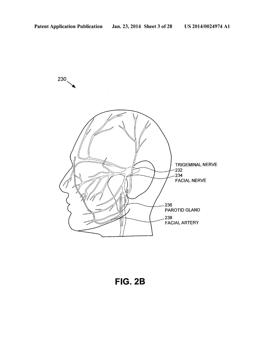 METHODS FOR NONINVASIVE SKIN TIGHTENING - diagram, schematic, and image 04