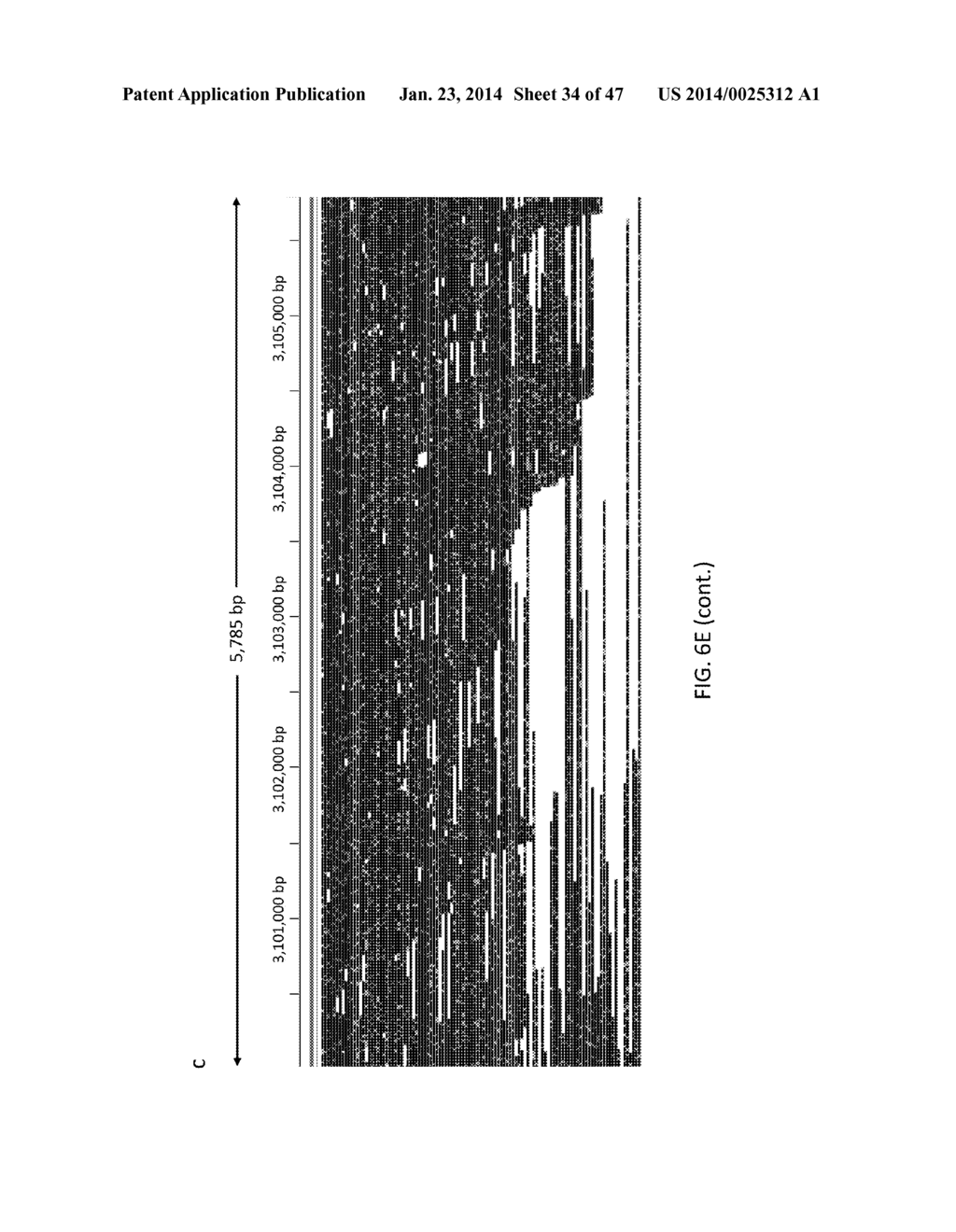 HIERARCHICAL GENOME ASSEMBLY METHOD USING SINGLE LONG INSERT LIBRARY - diagram, schematic, and image 35