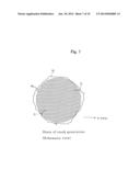 Process for Producing Group 13 Metal Nitride, and Seed Crystal Substrate     for Use in Same diagram and image