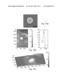 PEPTIDE NANOSTRUCTURES AND METHODS OF GENERATING AND USING THE SAME diagram and image