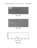 PEPTIDE NANOSTRUCTURES AND METHODS OF GENERATING AND USING THE SAME diagram and image