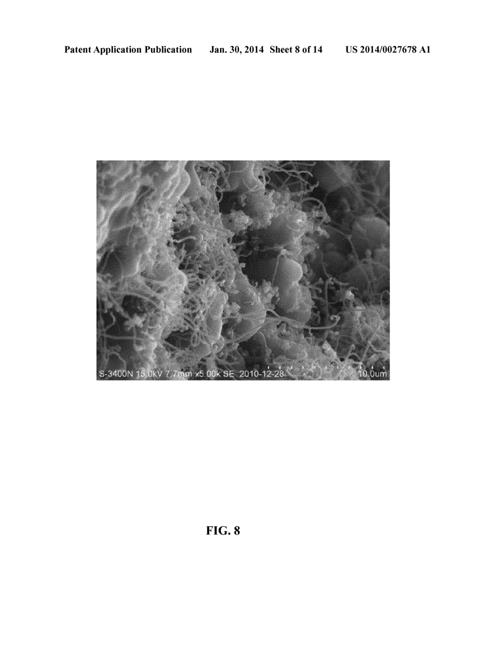 METHOD FOR PREPARING CARBON NANOTUBE OR CARBON MICROTUBE - diagram, schematic, and image 09