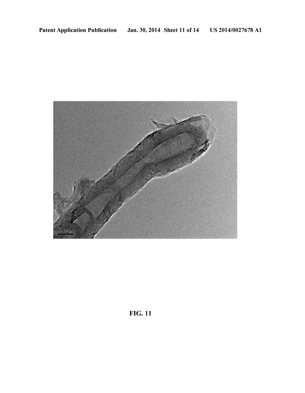 METHOD FOR PREPARING CARBON NANOTUBE OR CARBON MICROTUBE - diagram, schematic, and image 12