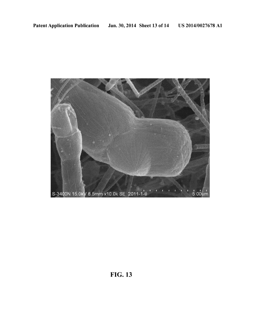 METHOD FOR PREPARING CARBON NANOTUBE OR CARBON MICROTUBE - diagram, schematic, and image 14