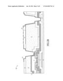 THIN FILM TRANSISTOR SUBSTRATE AND DISPLAY DEVICE HAVING THE THIN FILM     TRANSISTOR SUBSTRATE diagram and image