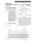 OPTICAL BODIES INCLUDING ROUGH STRIPPABLE BOUNDARY LAYERS AND ASYMMETRIC     SURFACE STRUCTURES diagram and image