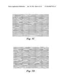 OPTICAL BODIES INCLUDING ROUGH STRIPPABLE BOUNDARY LAYERS AND ASYMMETRIC     SURFACE STRUCTURES diagram and image