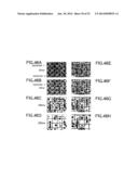 LIQUID CRYSTAL DISPLAY diagram and image