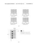 Method and Apparatus for Open Loop Transmission in a Multiple Antenna     Wireless Communication System diagram and image