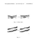 Method and Apparatus for Geometric Correction of OCT Data Representing a     Scan Obtained by Means of Optical Coherence Tomography Imaging of a     Sample diagram and image