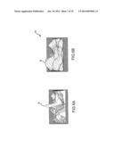 ADVANCED CLOUD COVER ASSESSMENT FOR PANCHROMATIC IMAGES diagram and image