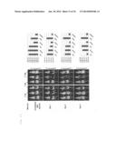 COMBINED PHARMACEUTICAL PREPARATION diagram and image