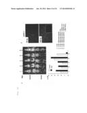 COMBINED PHARMACEUTICAL PREPARATION diagram and image