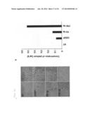 COMBINED PHARMACEUTICAL PREPARATION diagram and image