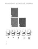 COMBINED PHARMACEUTICAL PREPARATION diagram and image