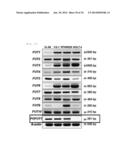 COMBINED PHARMACEUTICAL PREPARATION diagram and image