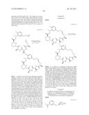 MACROCYCLIC INHIBITORS OF FLAVIVIRIDAE VIRUSES diagram and image