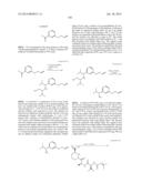 MACROCYCLIC INHIBITORS OF FLAVIVIRIDAE VIRUSES diagram and image