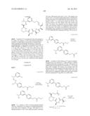 MACROCYCLIC INHIBITORS OF FLAVIVIRIDAE VIRUSES diagram and image