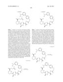 MACROCYCLIC INHIBITORS OF FLAVIVIRIDAE VIRUSES diagram and image