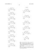 MACROCYCLIC INHIBITORS OF FLAVIVIRIDAE VIRUSES diagram and image