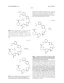 MACROCYCLIC INHIBITORS OF FLAVIVIRIDAE VIRUSES diagram and image