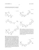 MACROCYCLIC INHIBITORS OF FLAVIVIRIDAE VIRUSES diagram and image