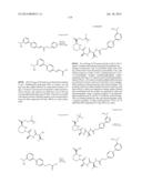 MACROCYCLIC INHIBITORS OF FLAVIVIRIDAE VIRUSES diagram and image