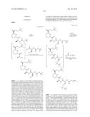 MACROCYCLIC INHIBITORS OF FLAVIVIRIDAE VIRUSES diagram and image