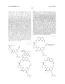 MACROCYCLIC INHIBITORS OF FLAVIVIRIDAE VIRUSES diagram and image