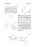 MACROCYCLIC INHIBITORS OF FLAVIVIRIDAE VIRUSES diagram and image