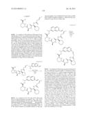 MACROCYCLIC INHIBITORS OF FLAVIVIRIDAE VIRUSES diagram and image