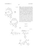 MACROCYCLIC INHIBITORS OF FLAVIVIRIDAE VIRUSES diagram and image