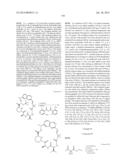 MACROCYCLIC INHIBITORS OF FLAVIVIRIDAE VIRUSES diagram and image