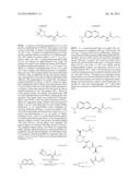 MACROCYCLIC INHIBITORS OF FLAVIVIRIDAE VIRUSES diagram and image