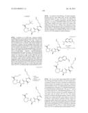 MACROCYCLIC INHIBITORS OF FLAVIVIRIDAE VIRUSES diagram and image