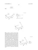 MACROCYCLIC INHIBITORS OF FLAVIVIRIDAE VIRUSES diagram and image