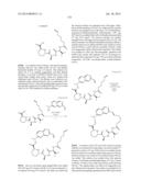 MACROCYCLIC INHIBITORS OF FLAVIVIRIDAE VIRUSES diagram and image