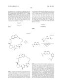 MACROCYCLIC INHIBITORS OF FLAVIVIRIDAE VIRUSES diagram and image